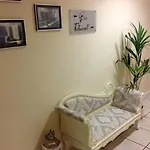 The Corralea Court Hotel 3*